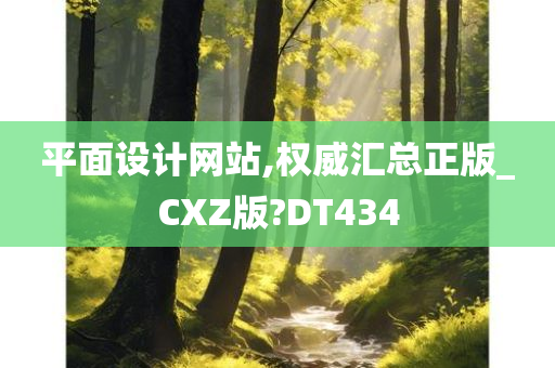 平面设计网站,权威汇总正版_CXZ版?DT434