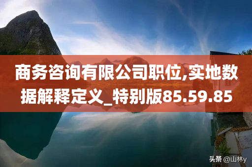 商务咨询有限公司职位,实地数据解释定义_特别版85.59.85