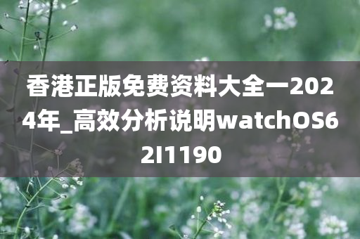 香港正版免费资料大全一2024年_高效分析说明watchOS62I1190