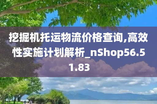 挖掘机托运物流价格查询,高效性实施计划解析_nShop56.51.83