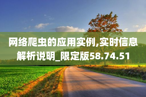 网络爬虫的应用实例,实时信息解析说明_限定版58.74.51