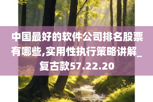 中国最好的软件公司排名股票有哪些,实用性执行策略讲解_复古款57.22.20