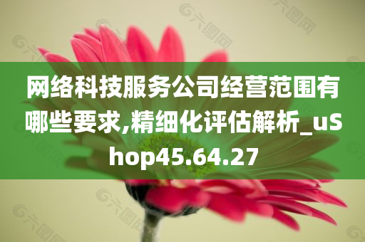 网络科技服务公司经营范围有哪些要求,精细化评估解析_uShop45.64.27