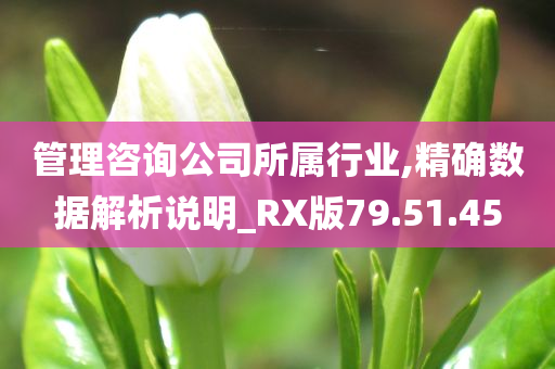 管理咨询公司所属行业,精确数据解析说明_RX版79.51.45