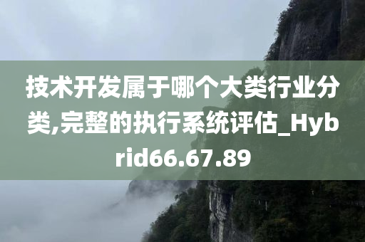 技术开发属于哪个大类行业分类,完整的执行系统评估_Hybrid66.67.89