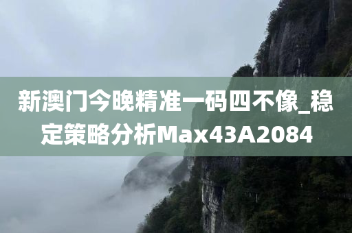 新澳门今晚精准一码四不像_稳定策略分析Max43A2084