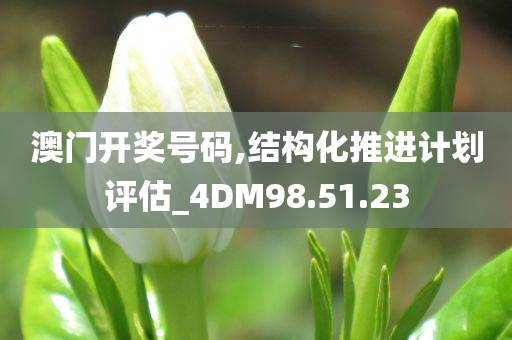 澳门开奖号码,结构化推进计划评估_4DM98.51.23