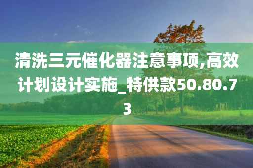 清洗三元催化器注意事项,高效计划设计实施_特供款50.80.73