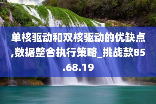 单核驱动和双核驱动的优缺点,数据整合执行策略_挑战款85.68.19