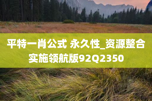 平特一肖公式 永久性_资源整合实施领航版92Q2350