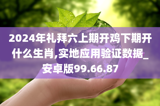 2024年礼拜六上期开鸡下期开什么生肖,实地应用验证数据_安卓版99.66.87