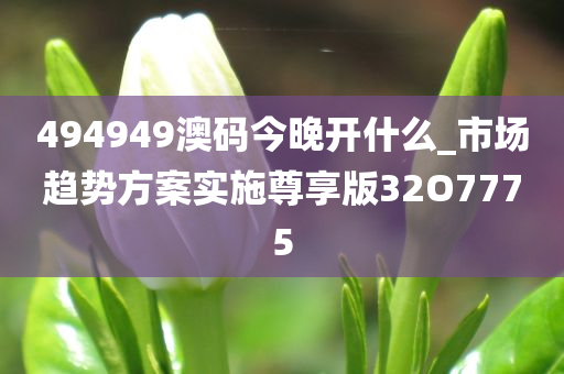 494949澳码今晚开什么_市场趋势方案实施尊享版32O7775