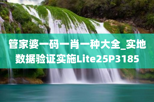 管家婆一码一肖一种大全_实地数据验证实施Lite25P3185