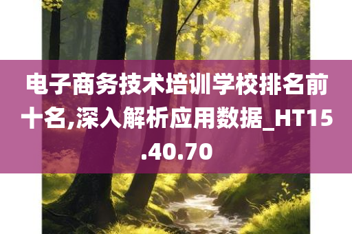 电子商务技术培训学校排名前十名,深入解析应用数据_HT15.40.70