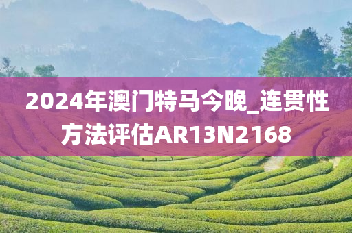 2024年澳门特马今晚_连贯性方法评估AR13N2168