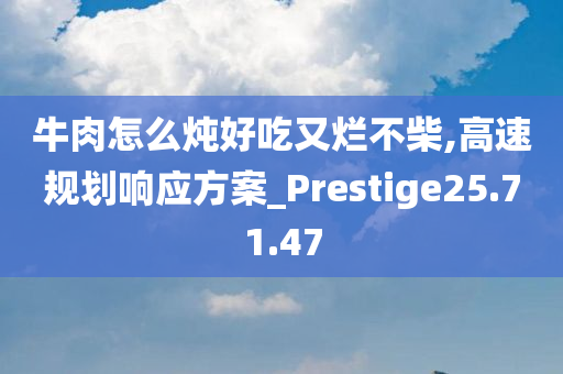 牛肉怎么炖好吃又烂不柴,高速规划响应方案_Prestige25.71.47