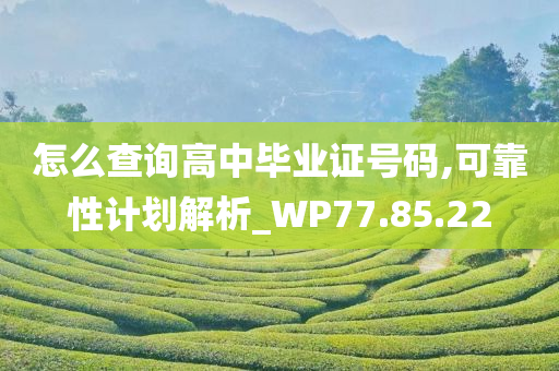 怎么查询高中毕业证号码,可靠性计划解析_WP77.85.22