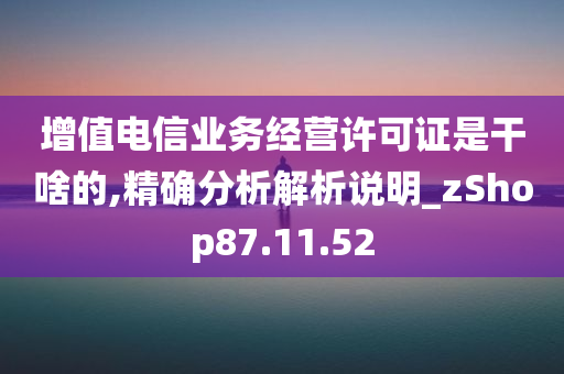 增值电信业务经营许可证是干啥的,精确分析解析说明_zShop87.11.52