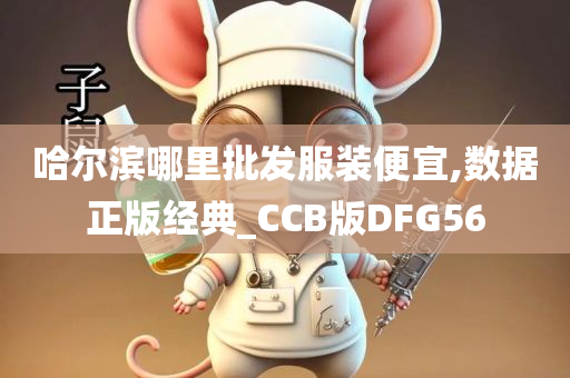 哈尔滨哪里批发服装便宜,数据正版经典_CCB版DFG56