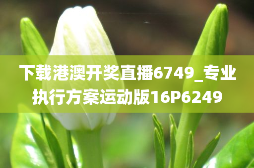 下载港澳开奖直播6749_专业执行方案运动版16P6249