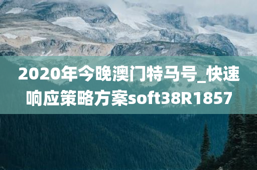 2020年今晚澳门特马号_快速响应策略方案soft38R1857