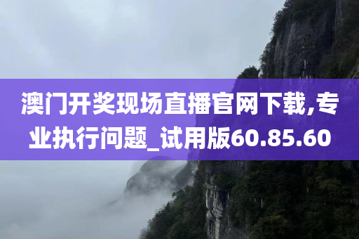 澳门开奖现场直播官网下载,专业执行问题_试用版60.85.60