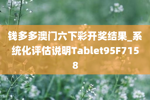 钱多多澳门六下彩开奖结果_系统化评估说明Tablet95F7158