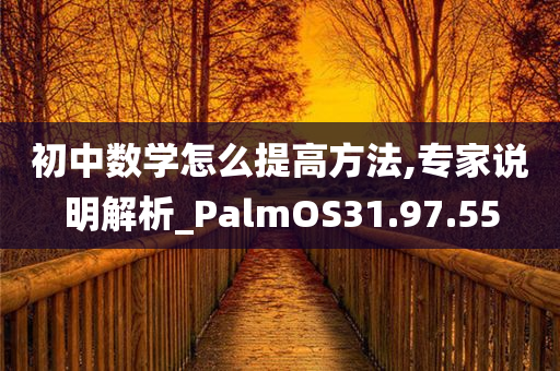 初中数学怎么提高方法,专家说明解析_PalmOS31.97.55