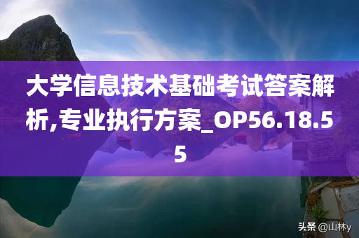 大学信息技术基础考试答案解析,专业执行方案_OP56.18.55