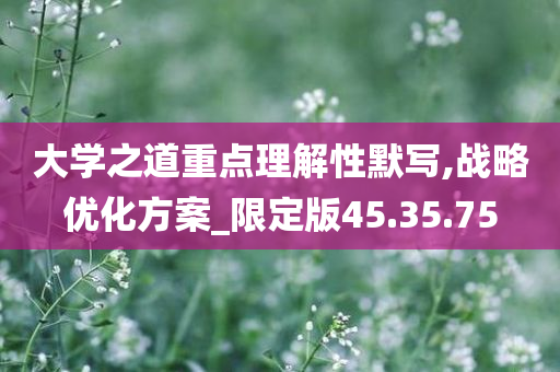 大学之道重点理解性默写,战略优化方案_限定版45.35.75