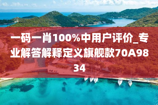 一码一肖100%中用户评价_专业解答解释定义旗舰款70A9834