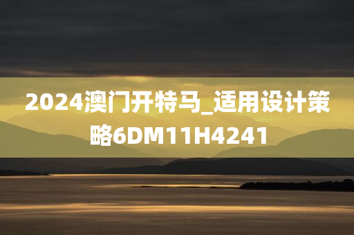 2024澳门开特马_适用设计策略6DM11H4241