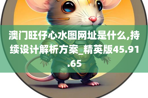 澳门旺仔心水图网址是什么,持续设计解析方案_精英版45.91.65