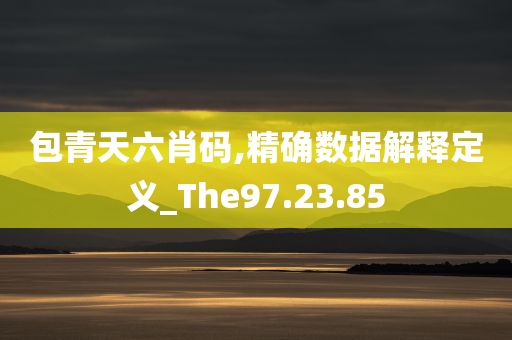 包青天六肖码,精确数据解释定义_The97.23.85