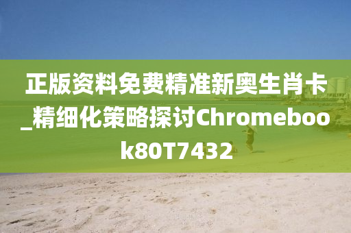 正版资料免费精准新奥生肖卡_精细化策略探讨Chromebook80T7432