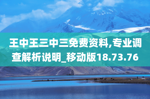 王中王三中三免费资料,专业调查解析说明_移动版18.73.76