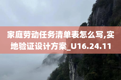 家庭劳动任务清单表怎么写,实地验证设计方案_U16.24.11