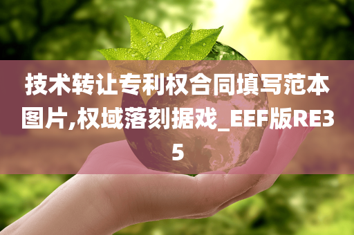 技术转让专利权合同填写范本图片,权域落刻据戏_EEF版RE35