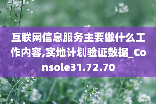 互联网信息服务主要做什么工作内容,实地计划验证数据_Console31.72.70