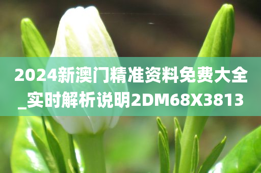 2024新澳门精准资料免费大全_实时解析说明2DM68X3813