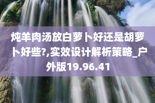 炖羊肉汤放白萝卜好还是胡萝卜好些?,实效设计解析策略_户外版19.96.41