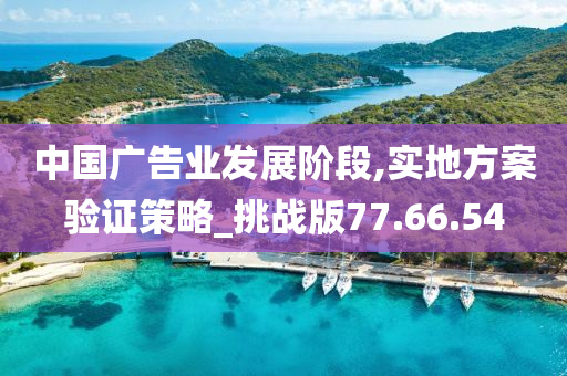 中国广告业发展阶段,实地方案验证策略_挑战版77.66.54