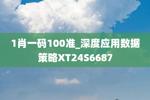 1肖一码100准_深度应用数据策略XT24S6687