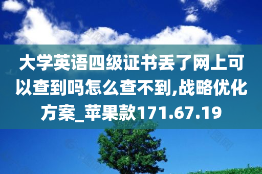 大学英语四级证书丢了网上可以查到吗怎么查不到,战略优化方案_苹果款171.67.19