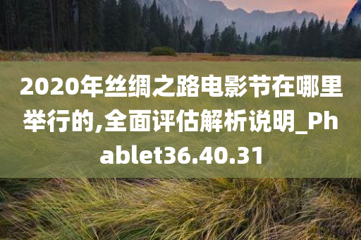 2020年丝绸之路电影节在哪里举行的,全面评估解析说明_Phablet36.40.31