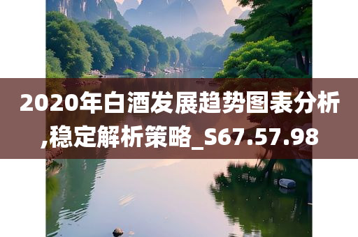 2020年白酒发展趋势图表分析,稳定解析策略_S67.57.98