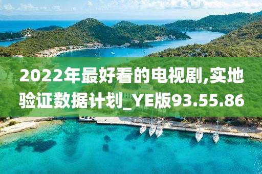 2022年最好看的电视剧,实地验证数据计划_YE版93.55.86