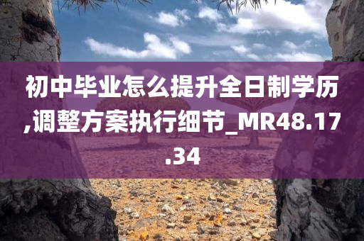 初中毕业怎么提升全日制学历,调整方案执行细节_MR48.17.34