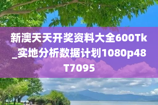 新澳天天开奖资料大全600Tk_实地分析数据计划1080p48T7095