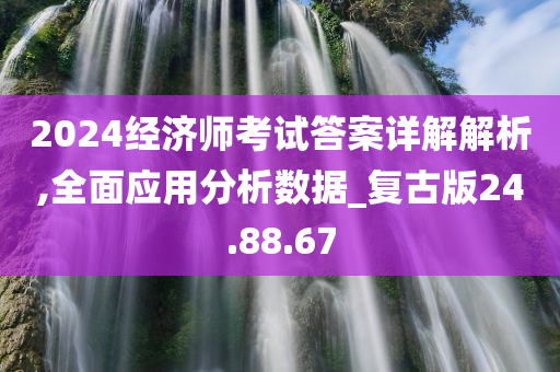 2024经济师考试答案详解解析,全面应用分析数据_复古版24.88.67